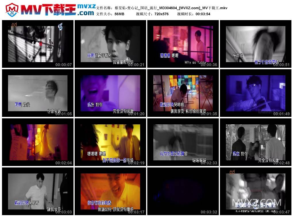 蔡旻佑-变心记_国语_流行_MD304604